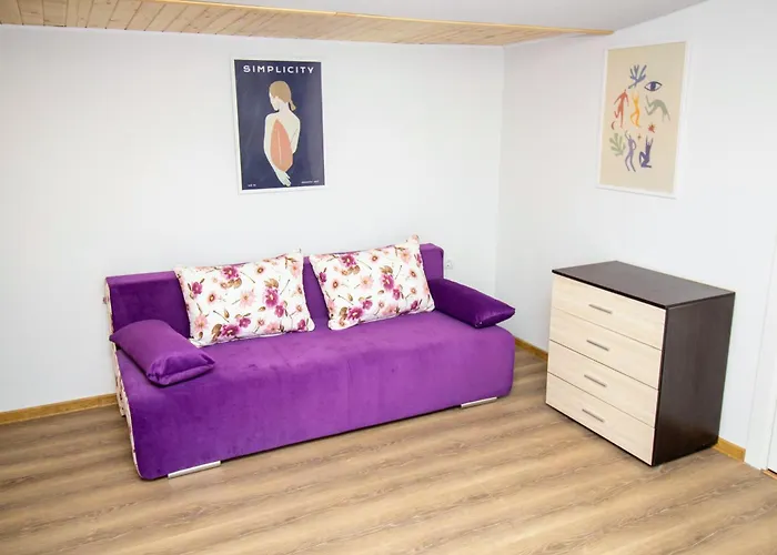 Swan7 普罗夫迪夫