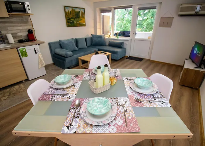 Swan7 普罗夫迪夫