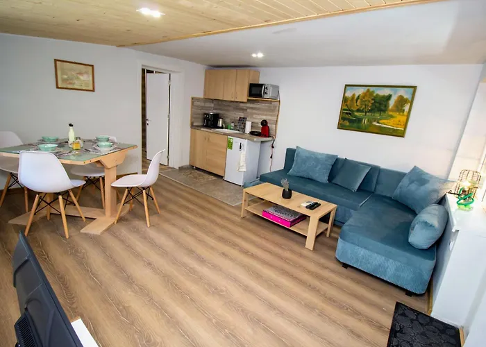 Swan7 普罗夫迪夫