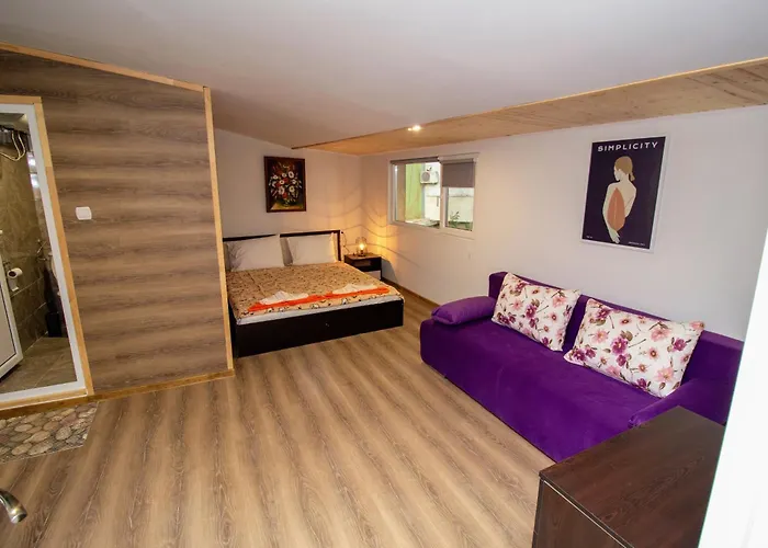 Swan7 * 普罗夫迪夫