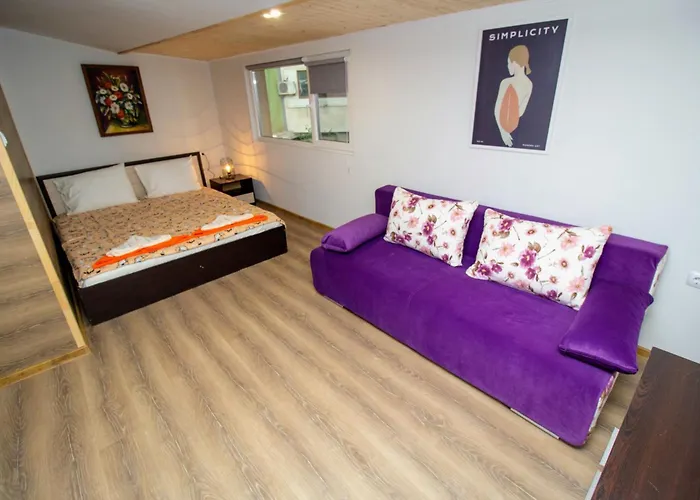 Swan7 普罗夫迪夫