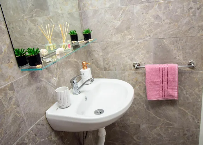 Swan7 * 普罗夫迪夫